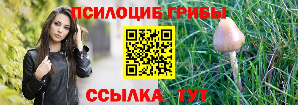 Псилоцибиновые грибы Psilocybe  Вход с VPN  Озёрск 